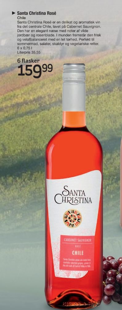 Chilensk Rosevin