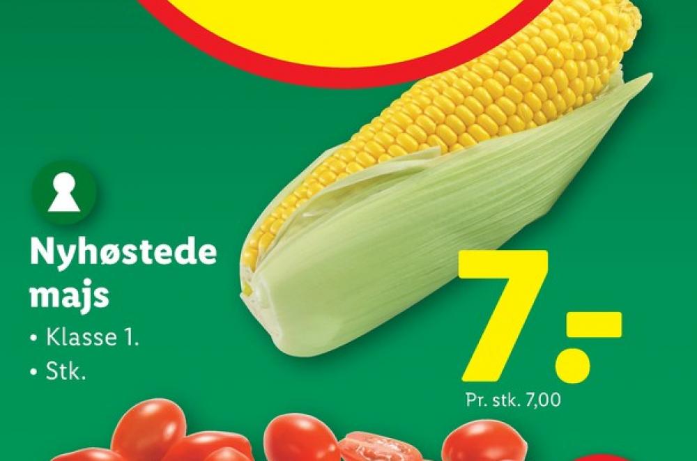 Majskolbe