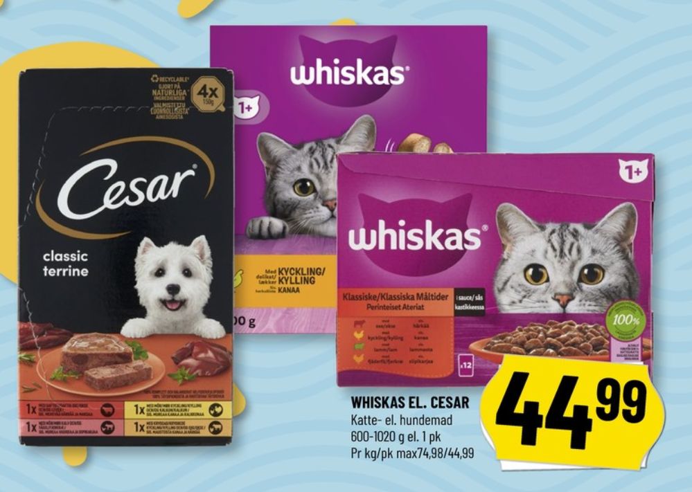 Cesar, Hundefoder