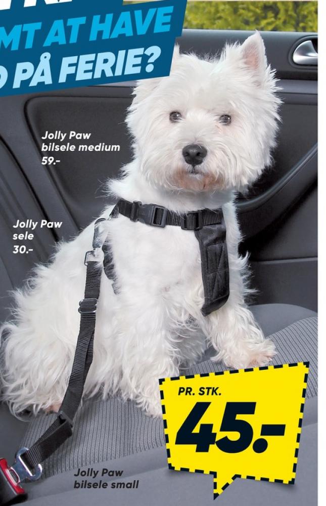 Jollypaw, Hundesele