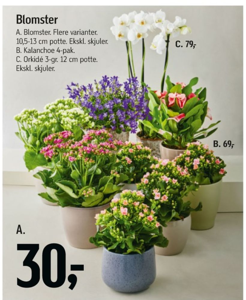 Planter