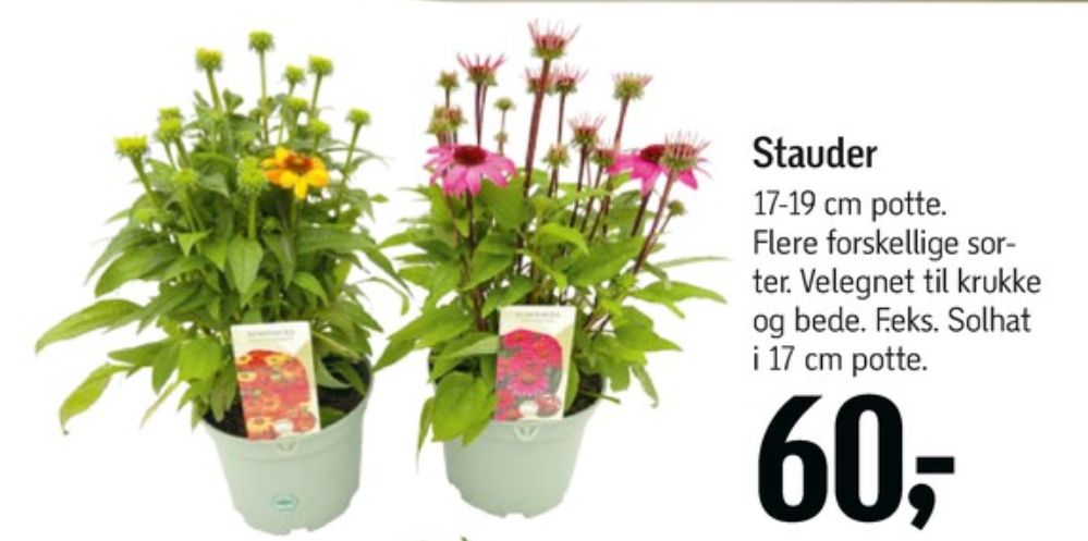 Planter