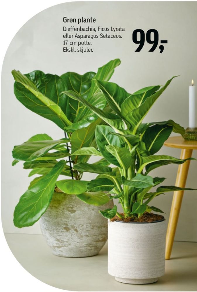 Planter