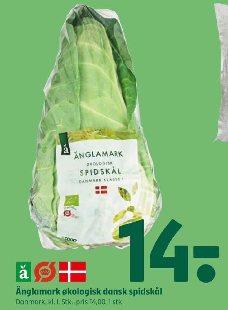 Änglamark, Spidskål
