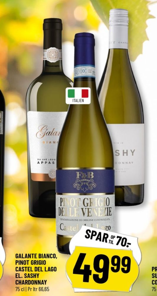 Italiensk Hvidvin