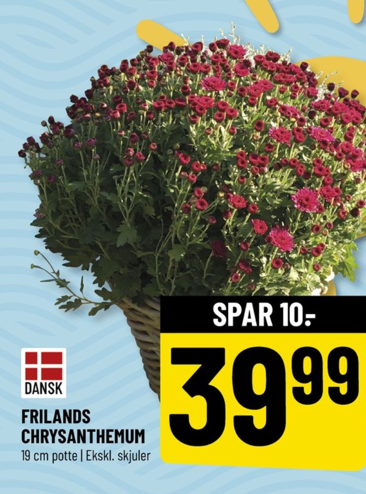 Planter