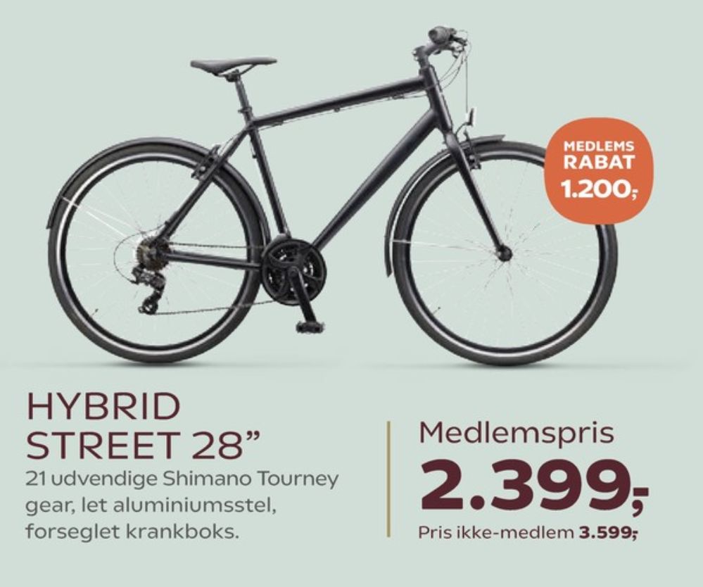 Mustang, Cykel