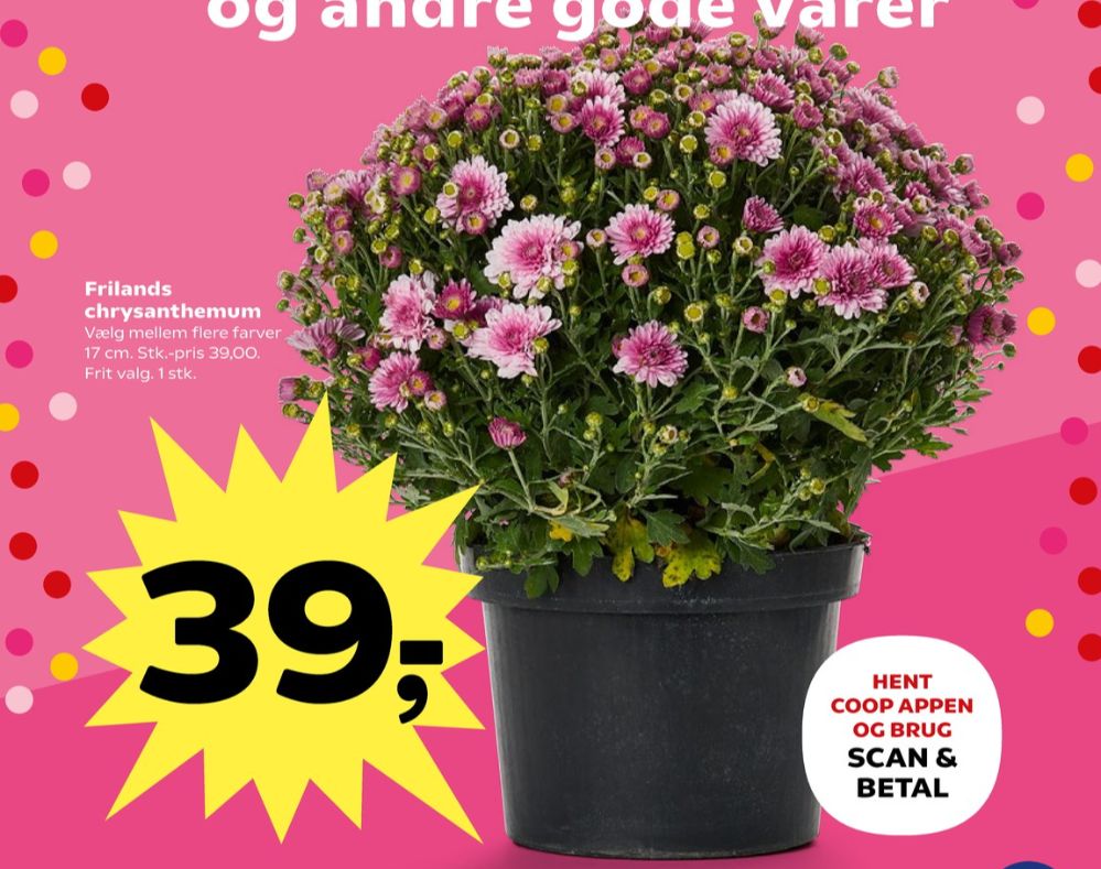 Planter