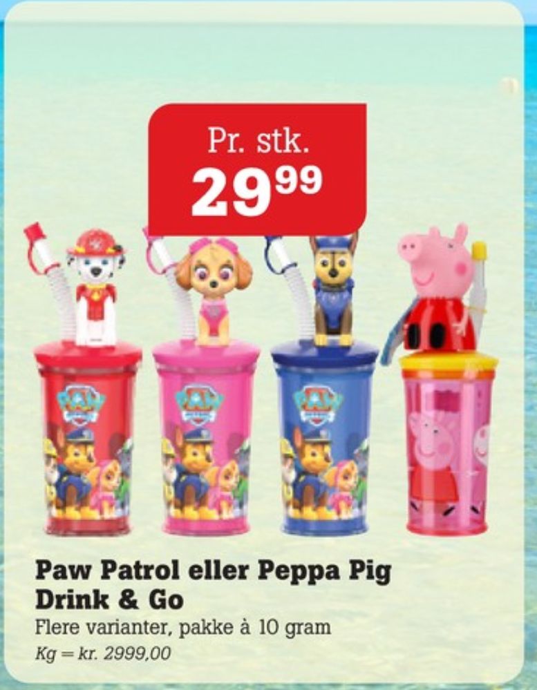 Paw Patrol, Krus