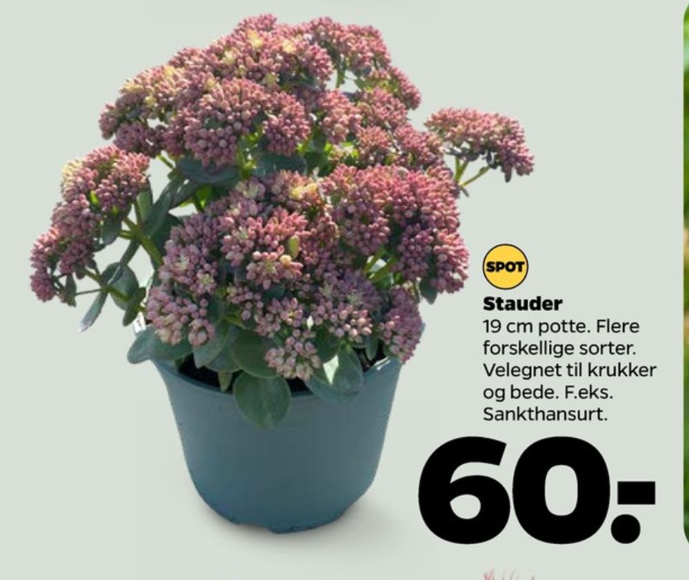 Planter