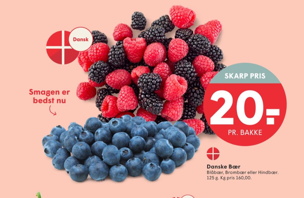Blåbær