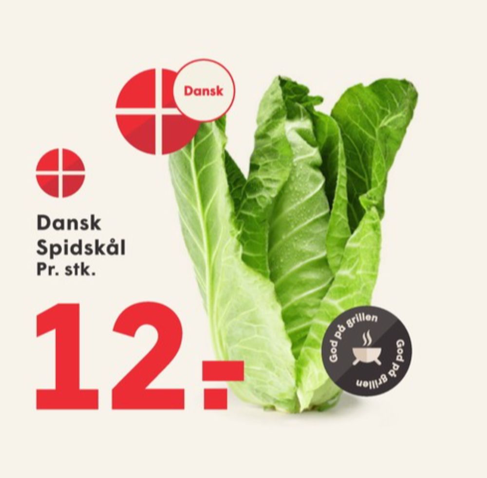 Spidskål