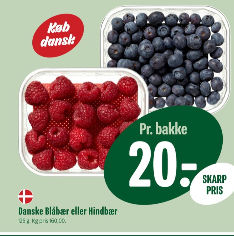 Blåbær