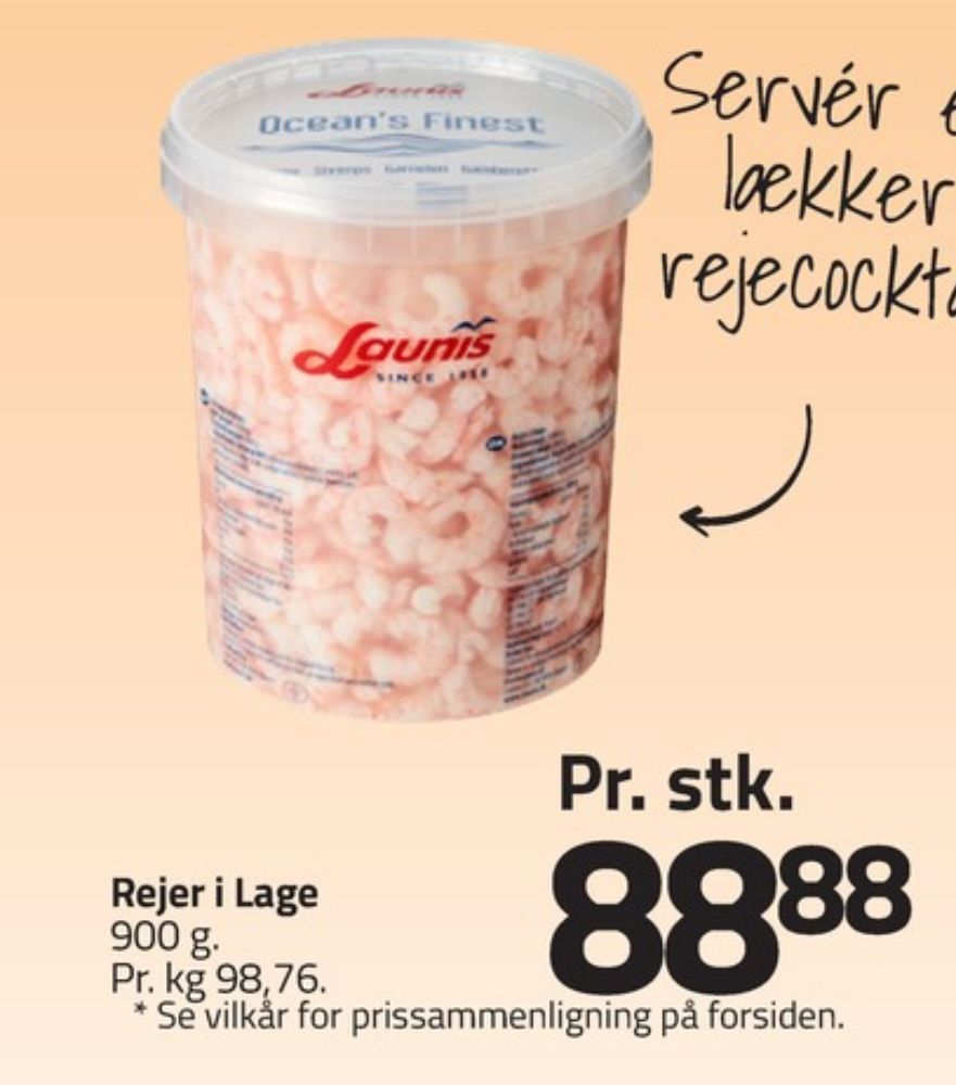 Launis, Rejer