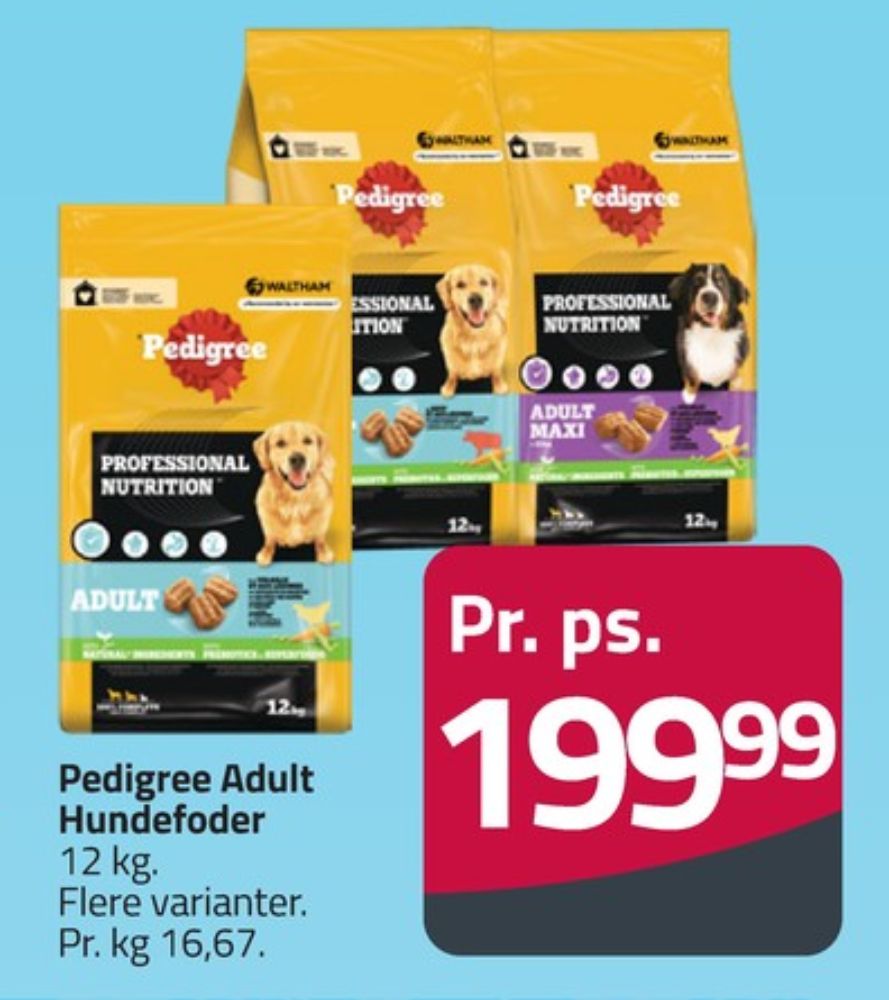 Pedigree, Hundefoder