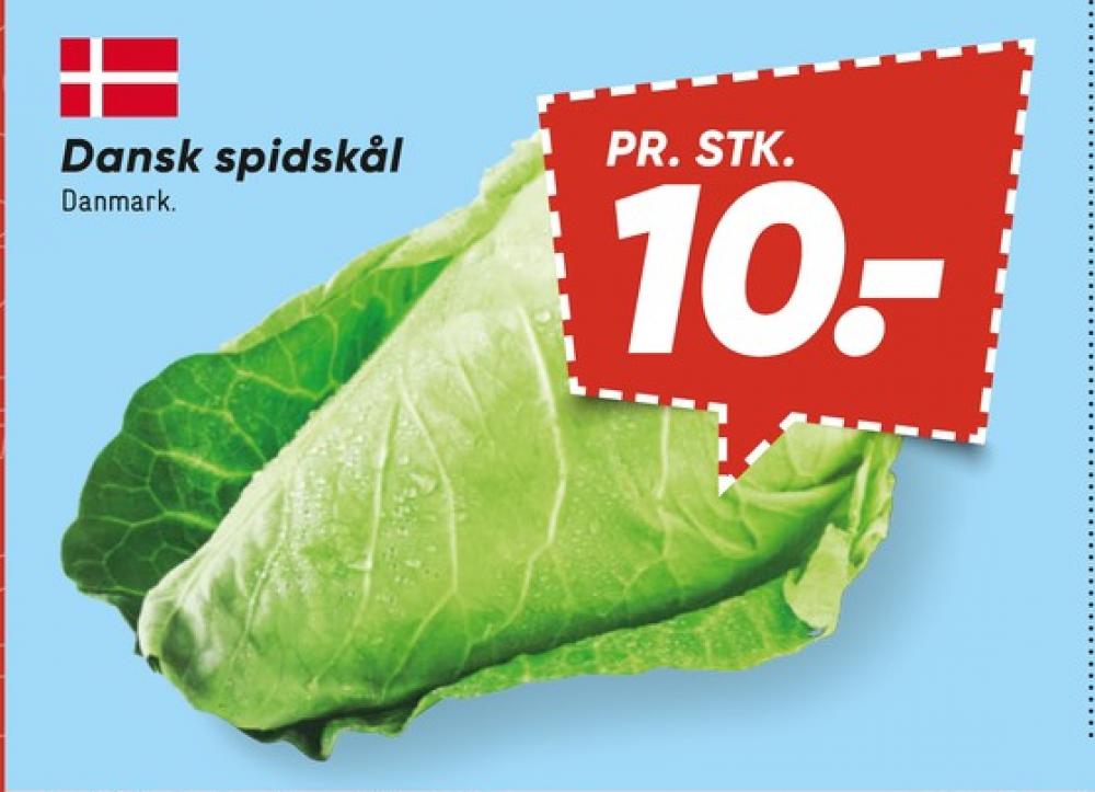 Spidskål