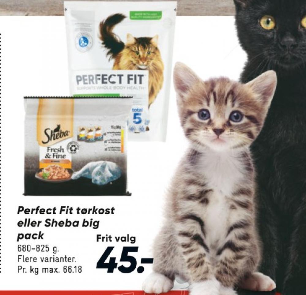 Perfect fit, Kattefoder