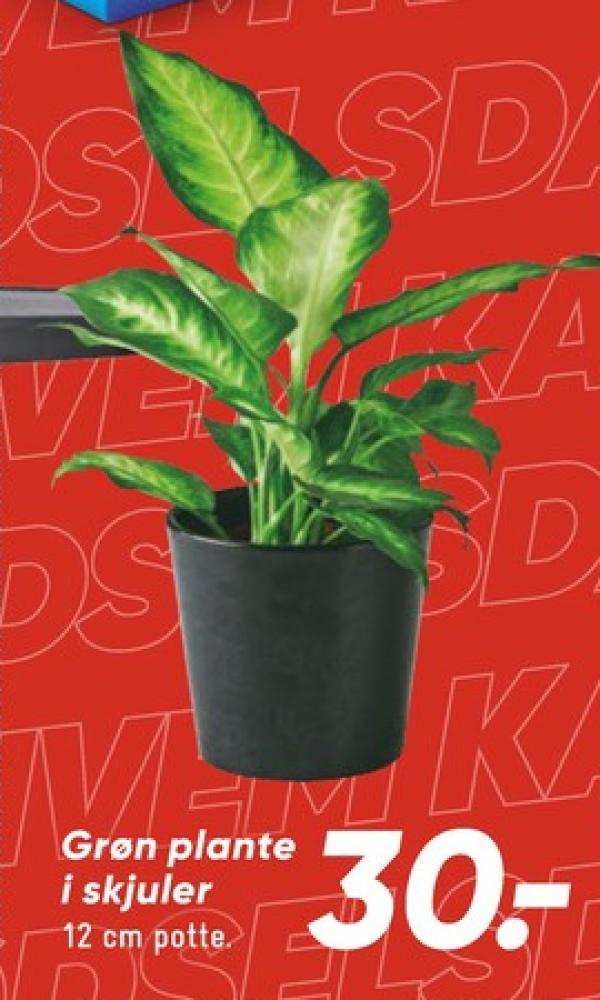 Planter