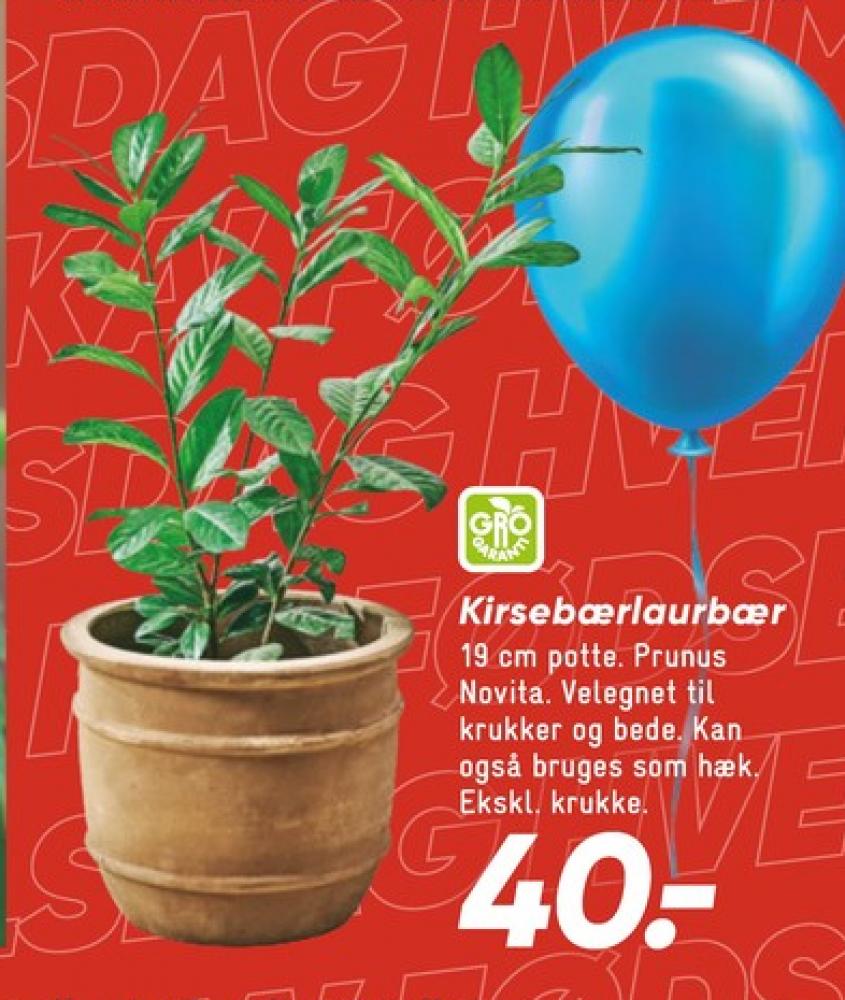 Planter