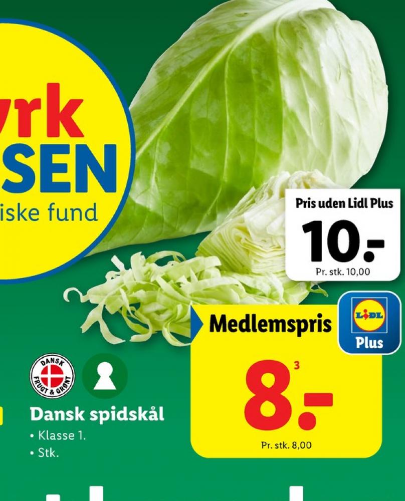 Spidskål