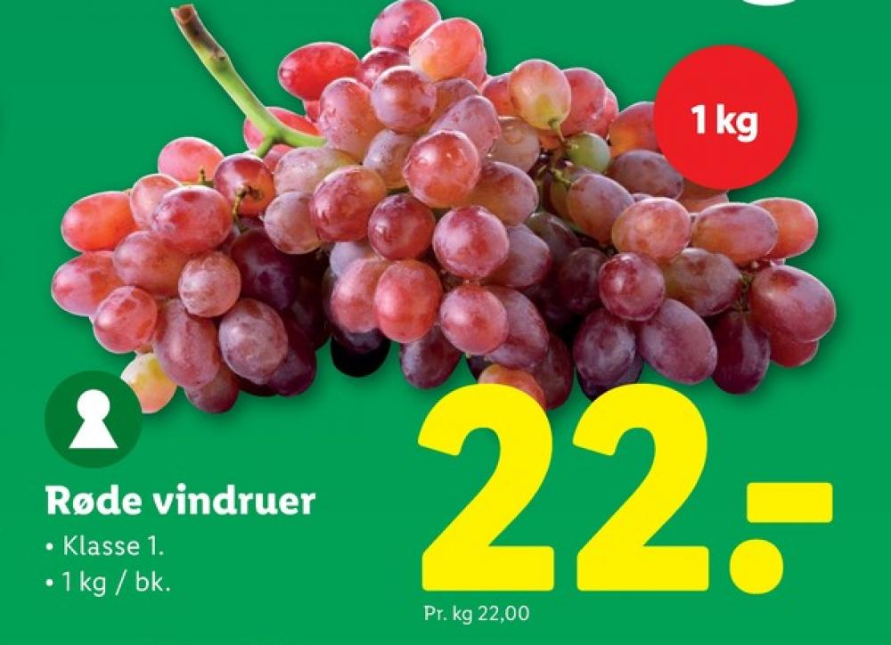 Vindruer