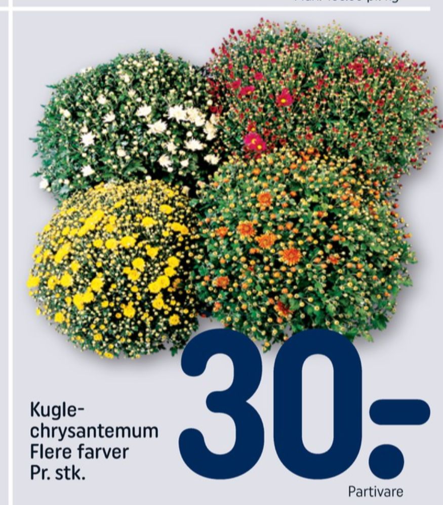 Planter
