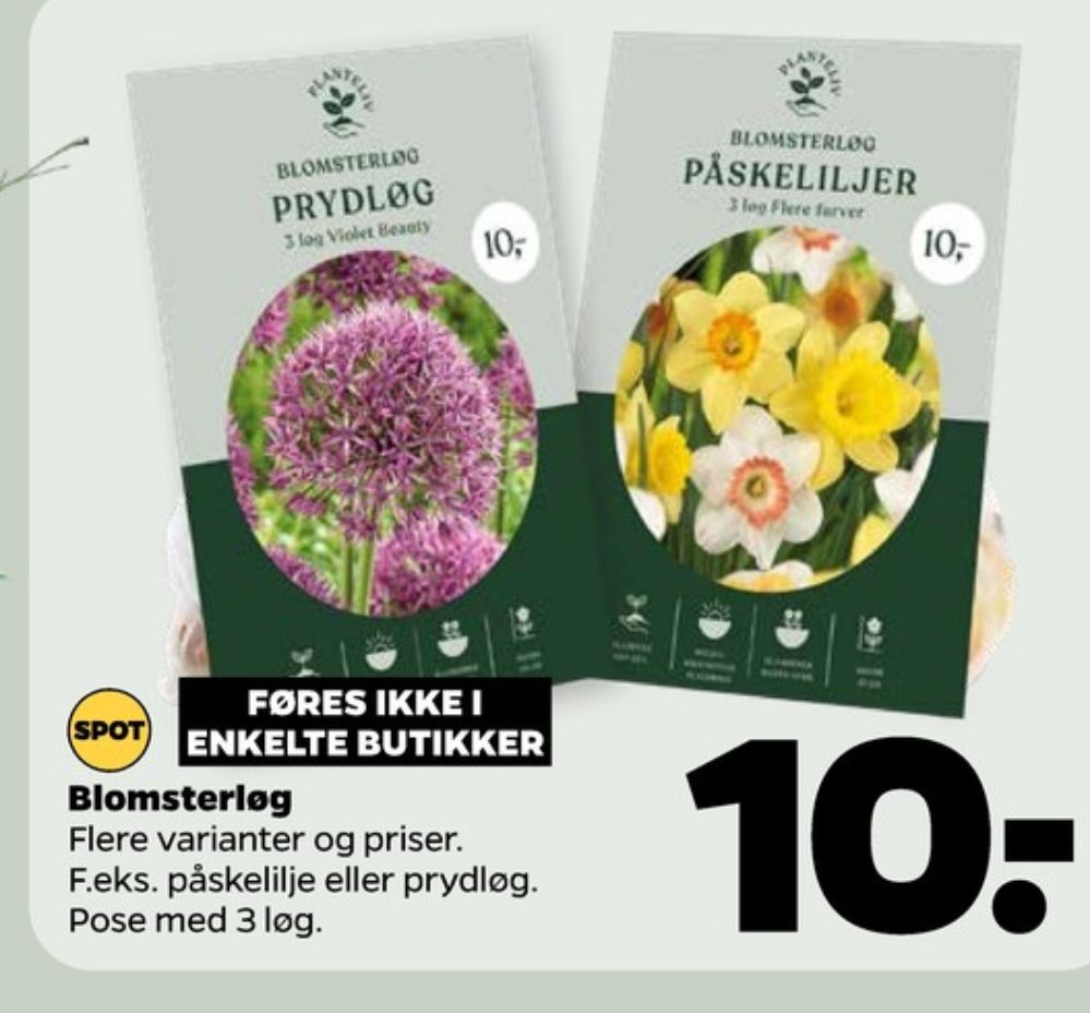 Blomsterløg