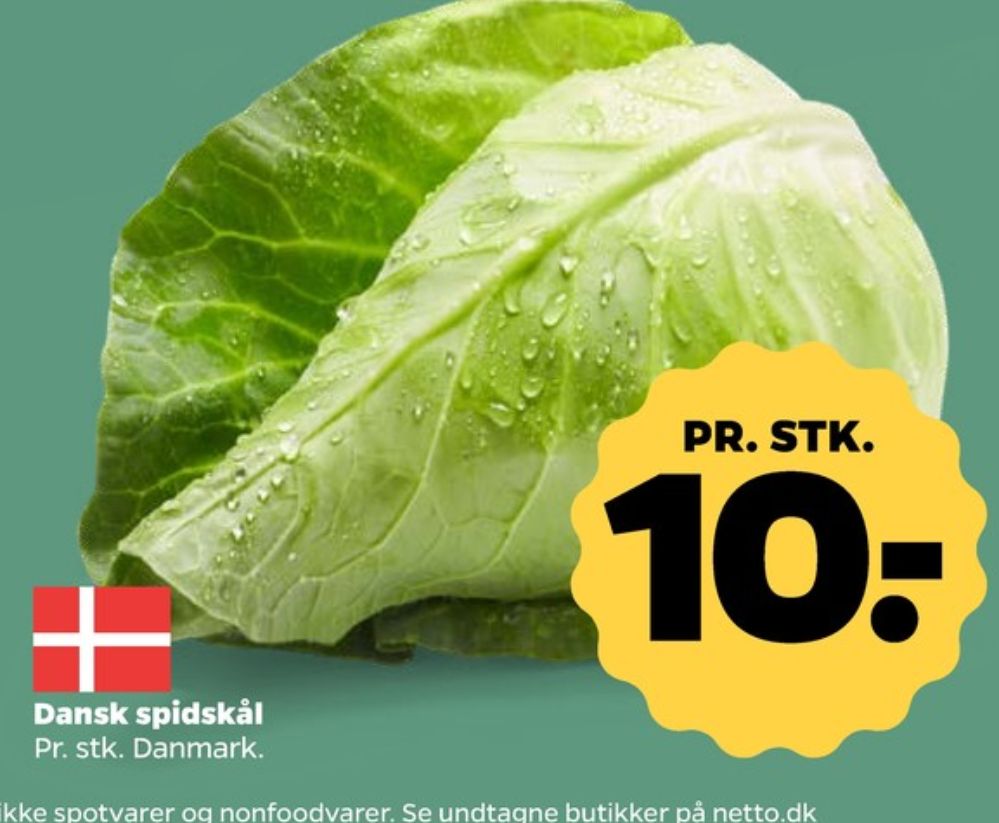 Spidskål