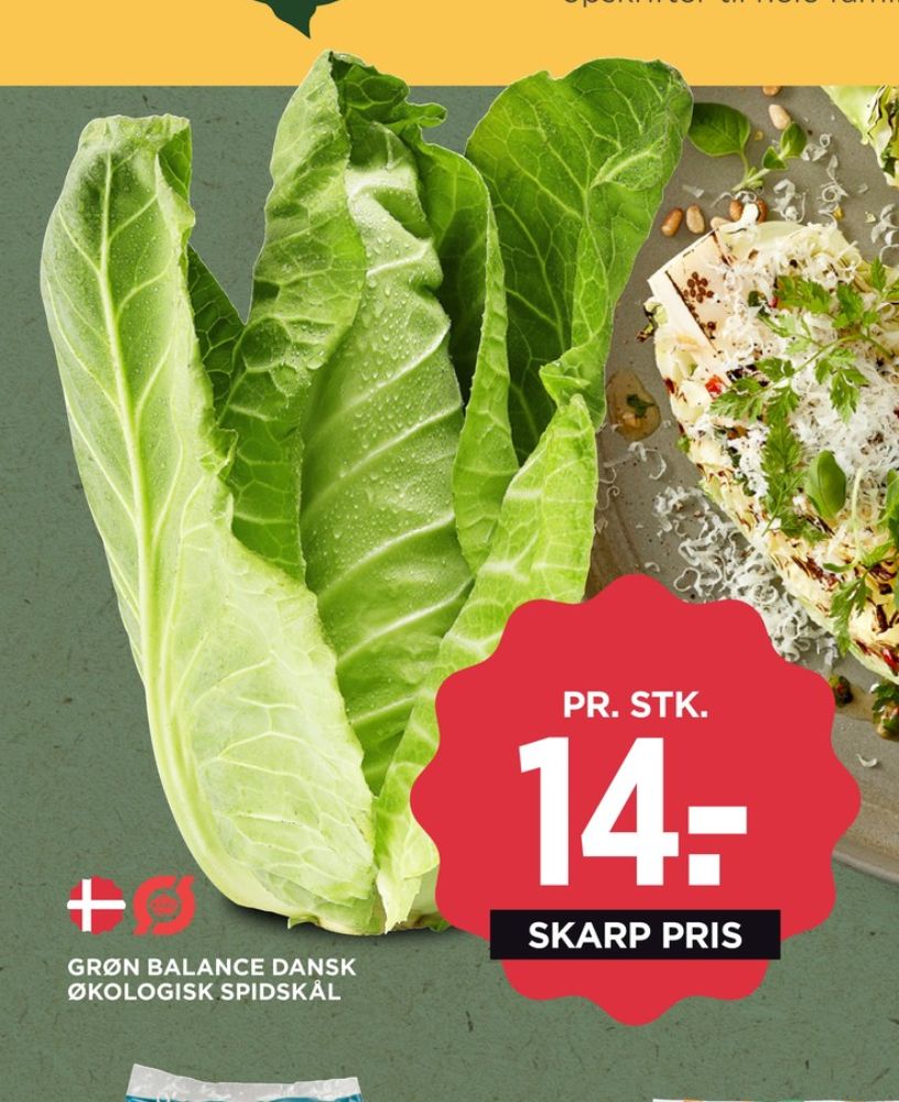 Grøn Balance, Spidskål