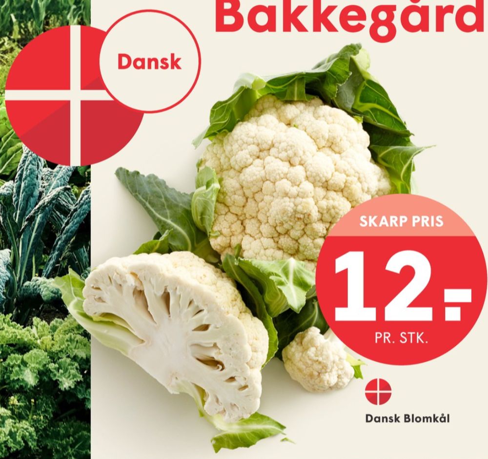 Blomkål