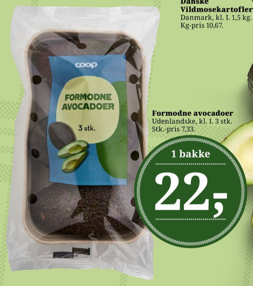 Coop, Avocado