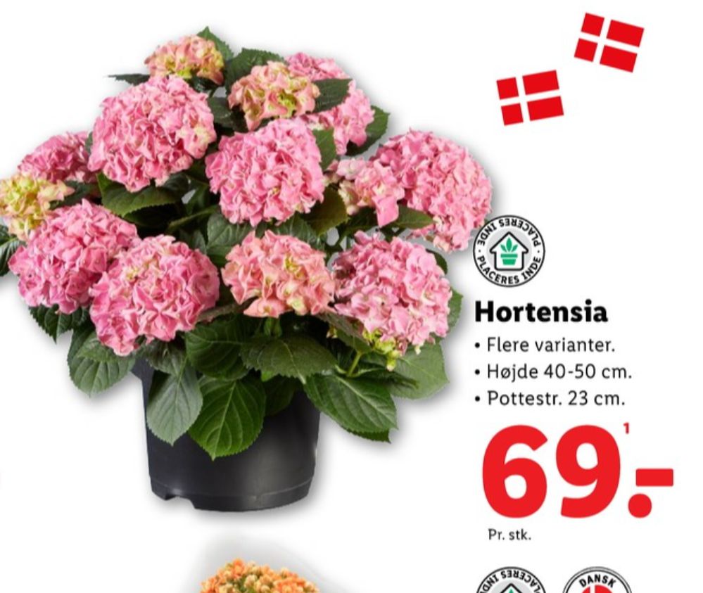 Planter