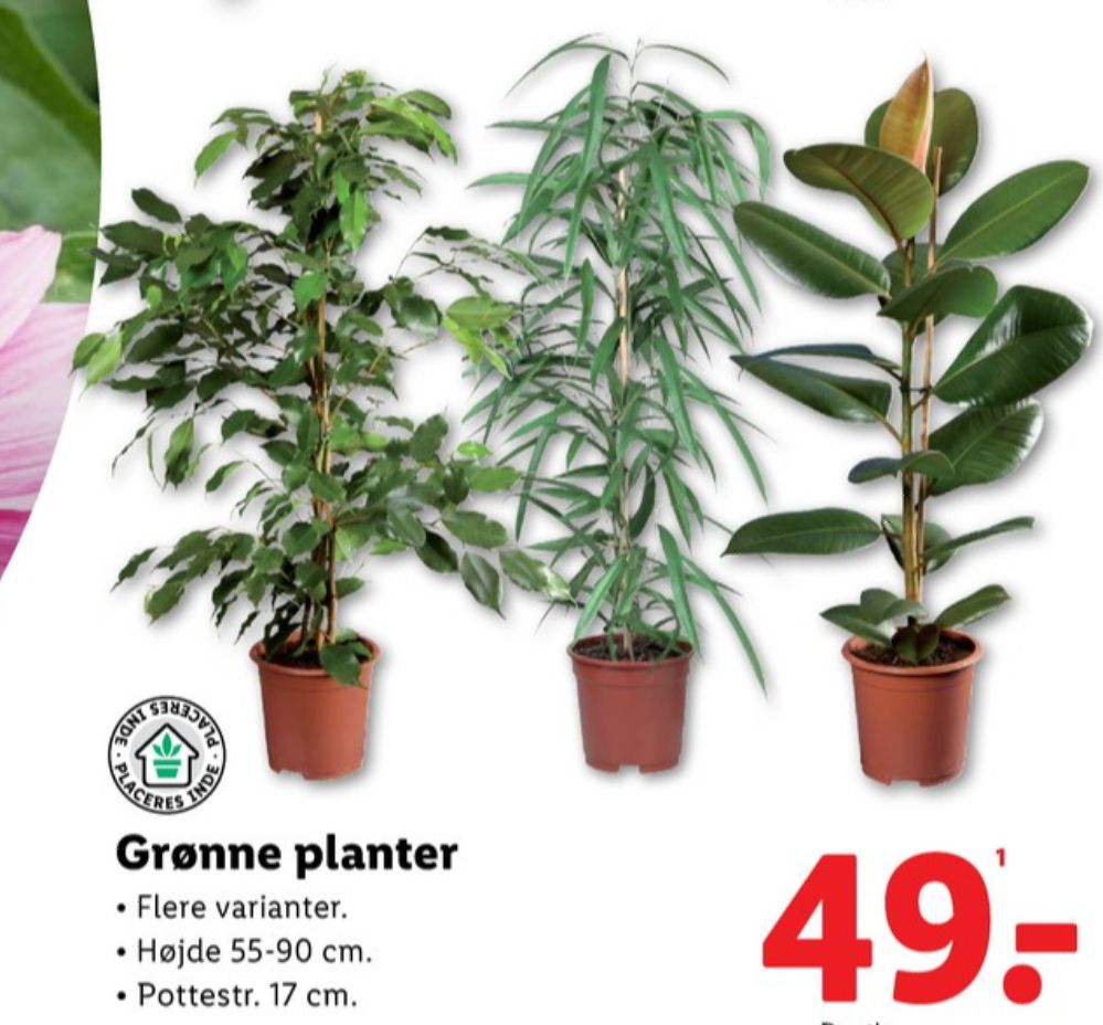Planter