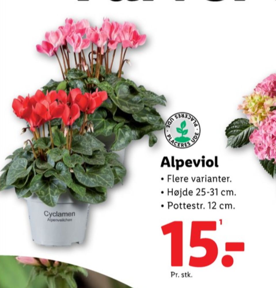 Alpeviol