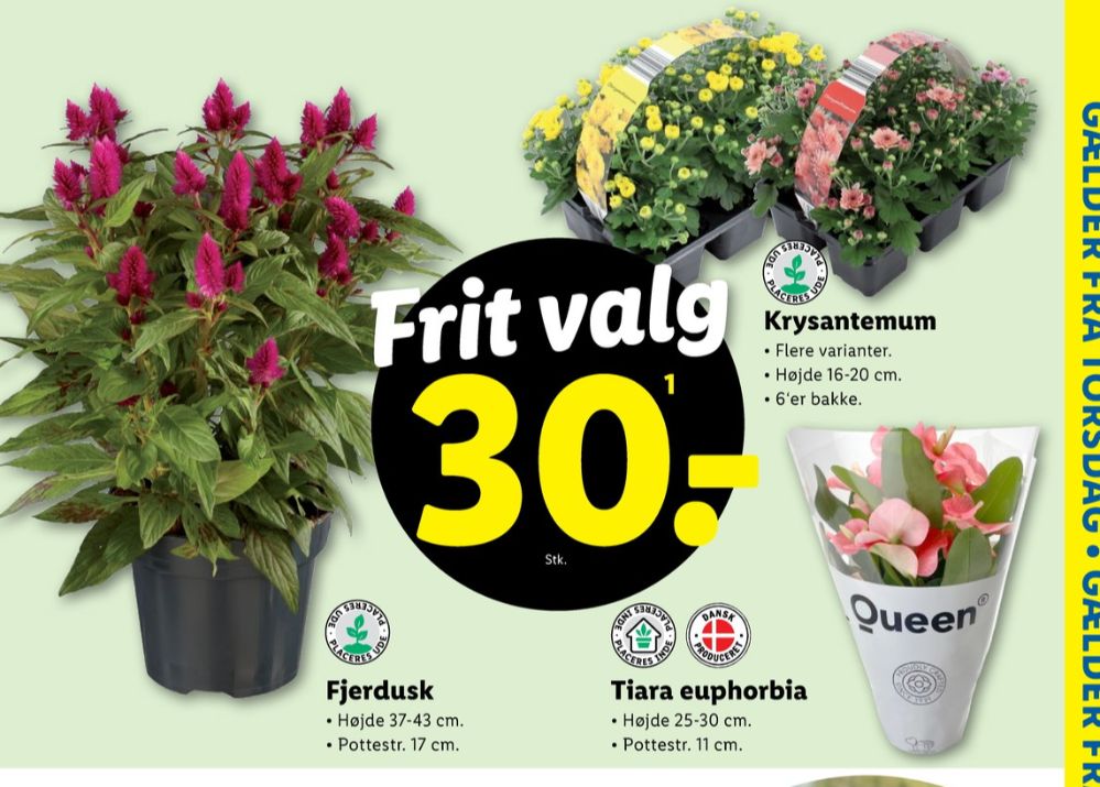 Planter