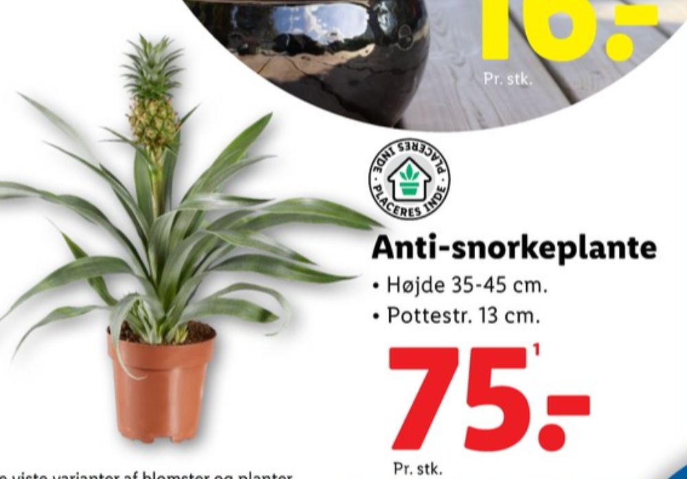 Planter
