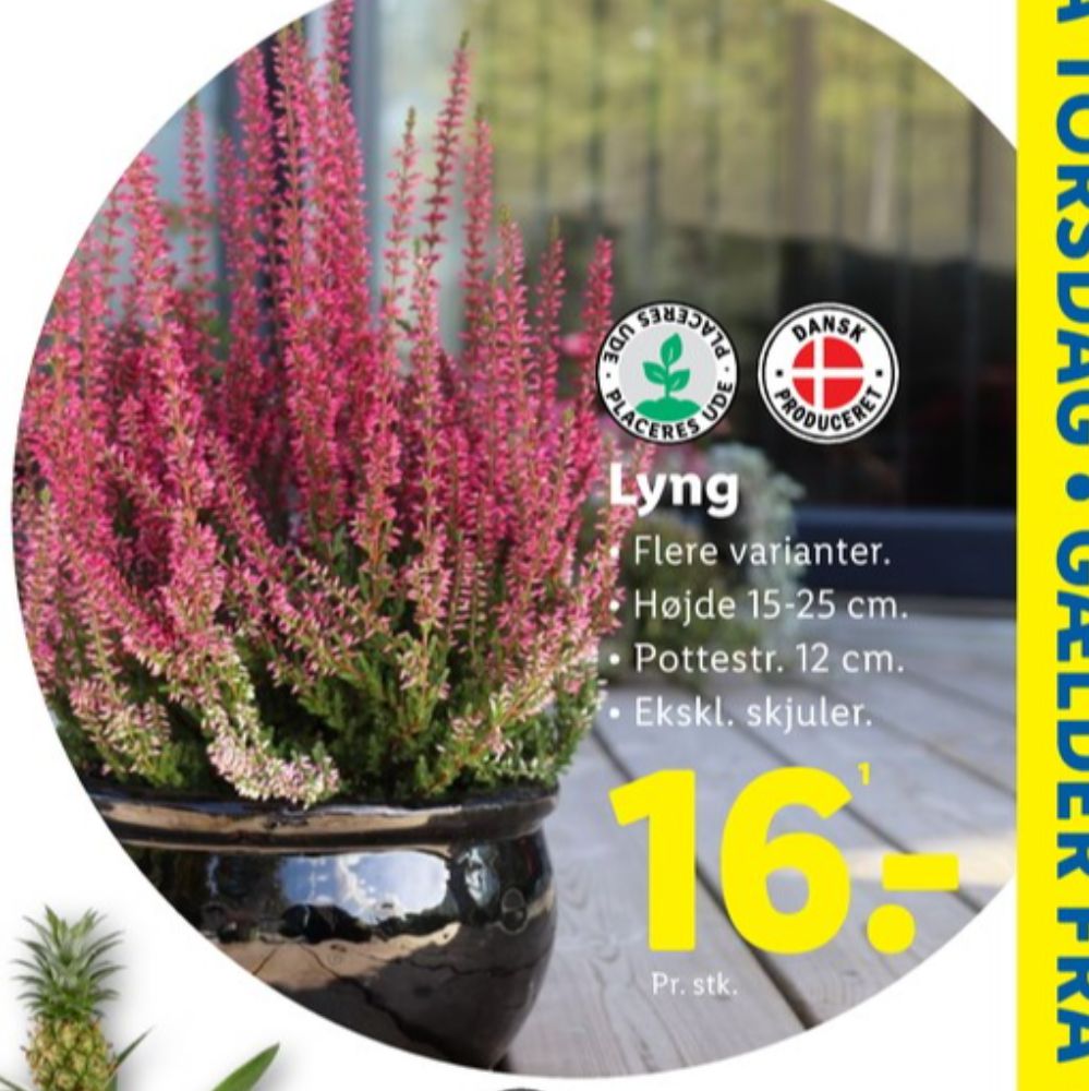 Planter