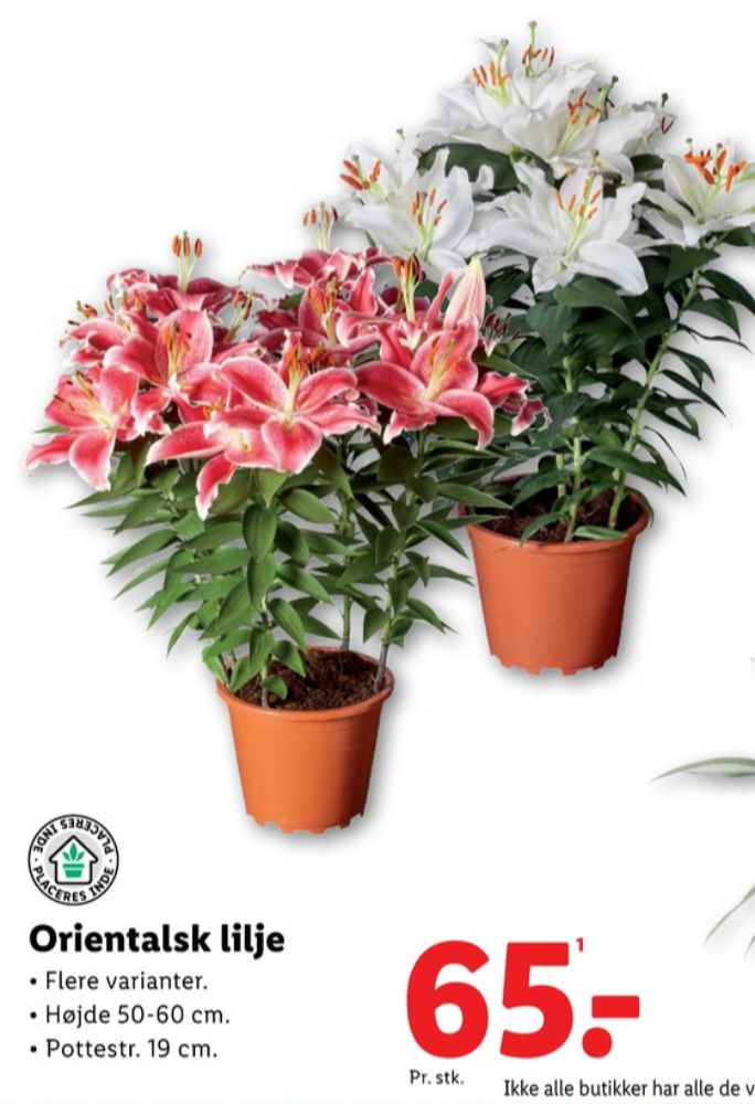 Planter