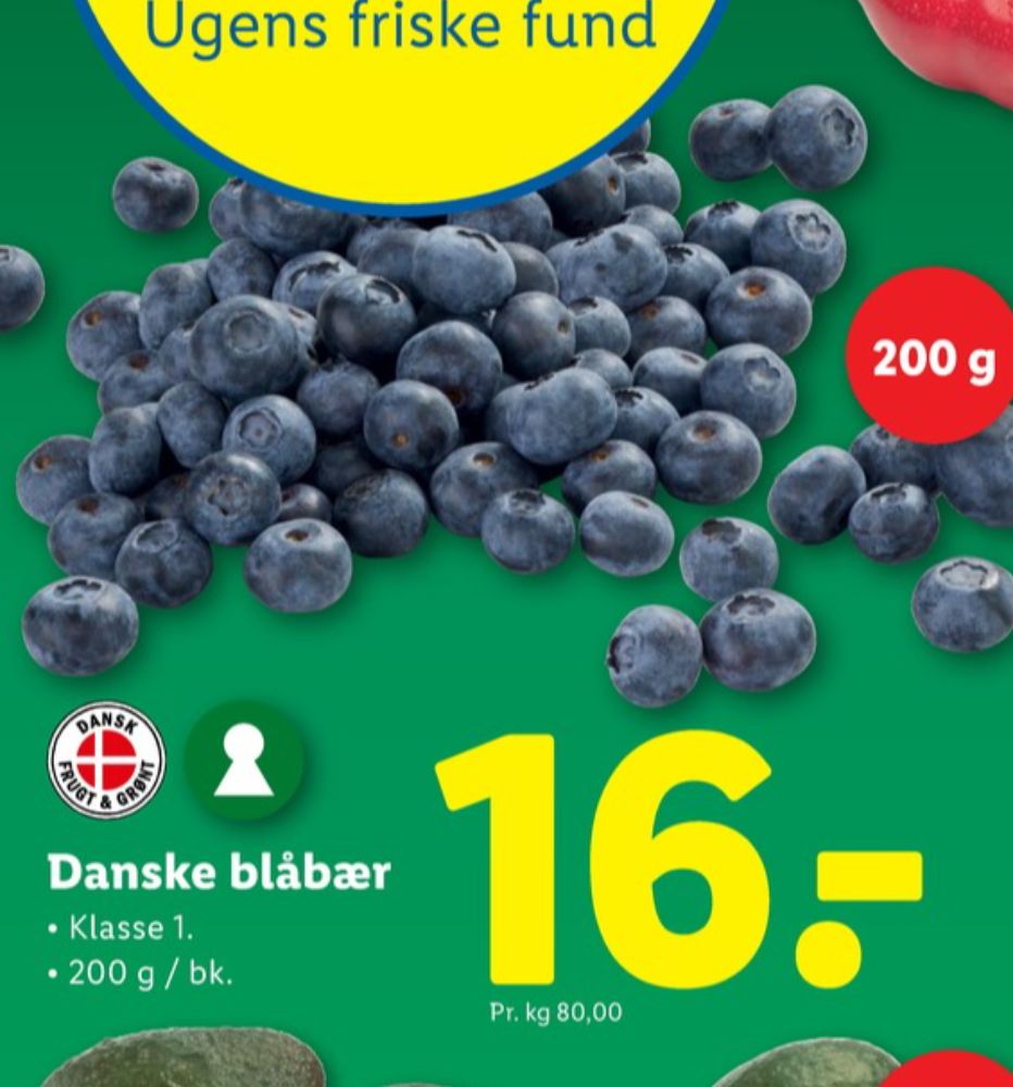 Blåbær