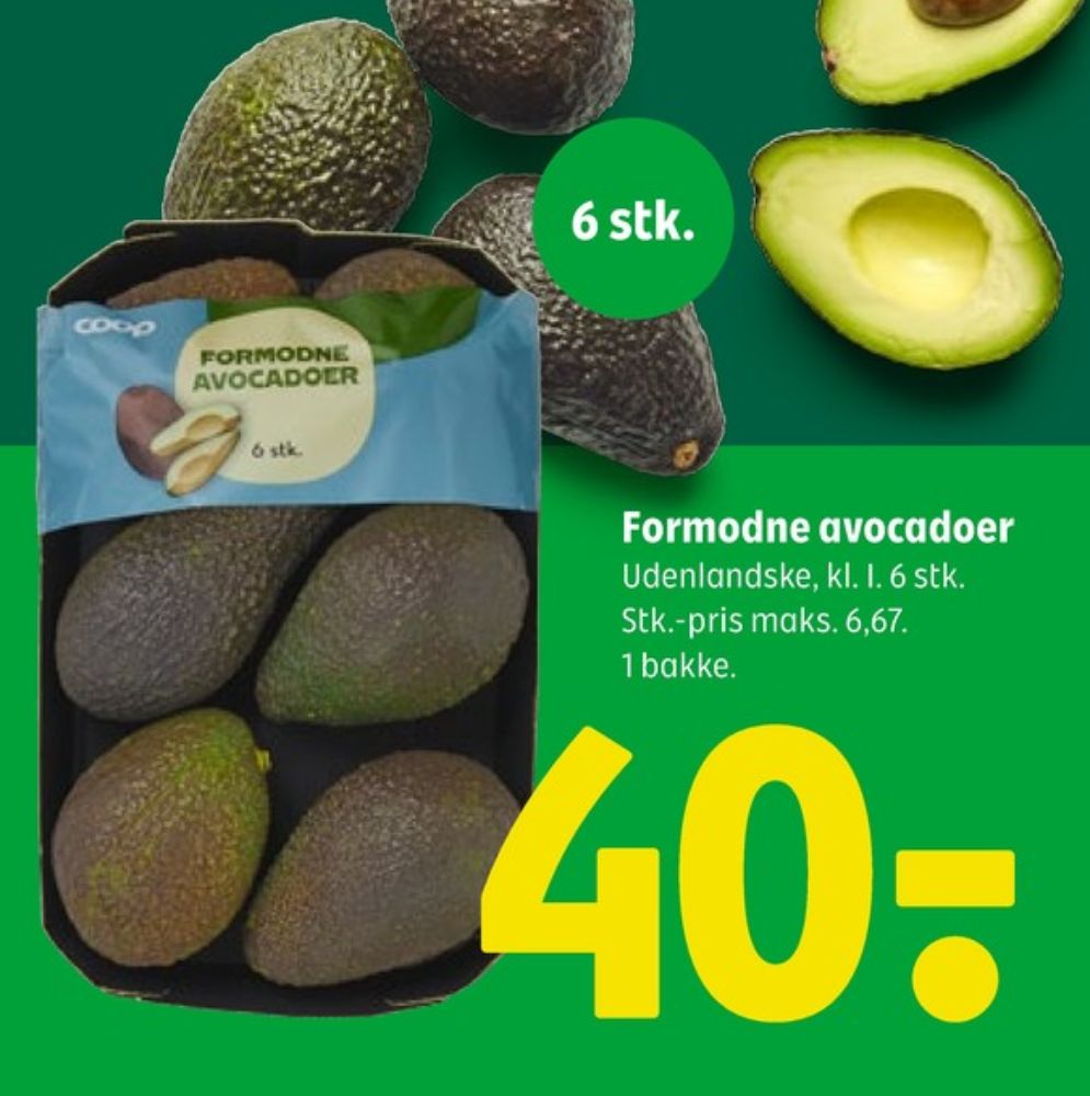 Coop, Avocado