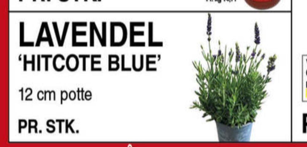 Planter