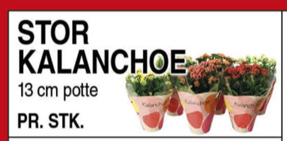 Planter
