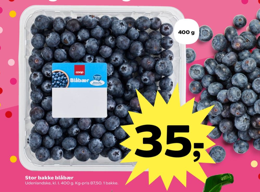 Coop, Blåbær