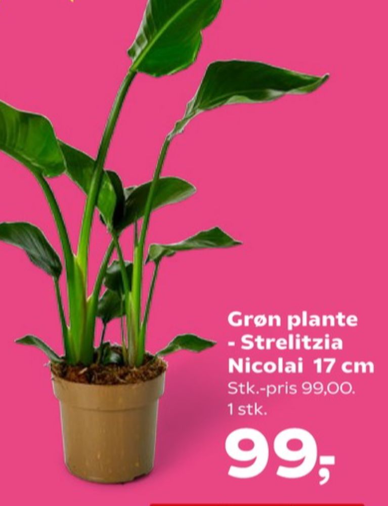 Planter
