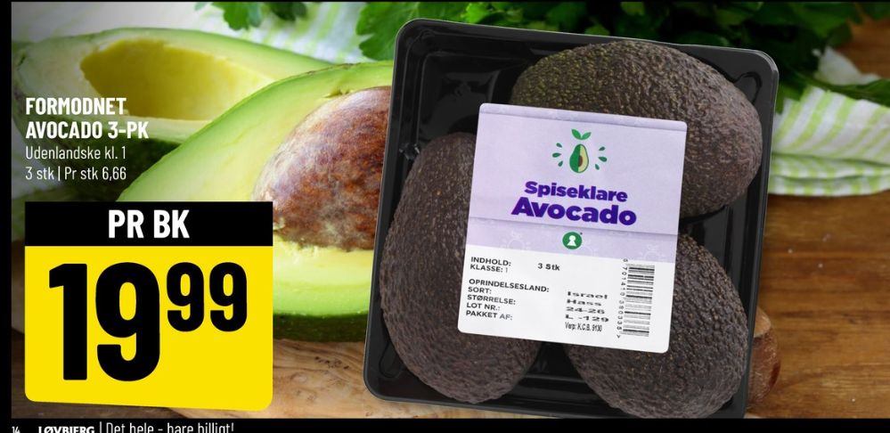 Avocado
