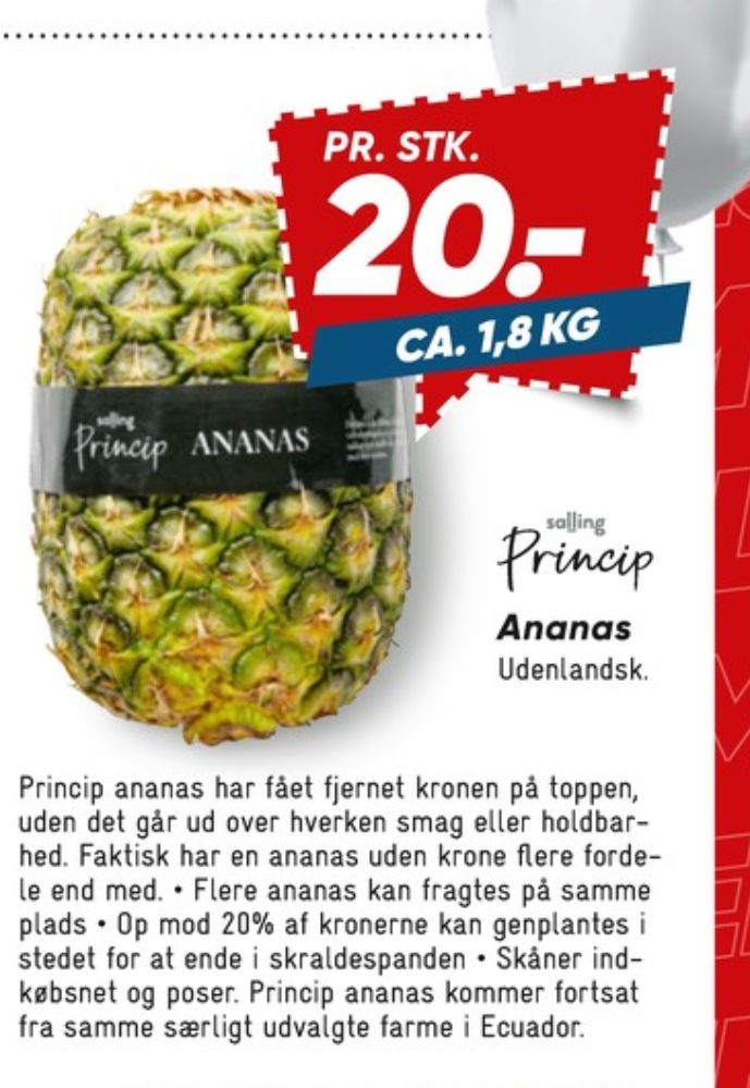 Salling Princip, Ananas