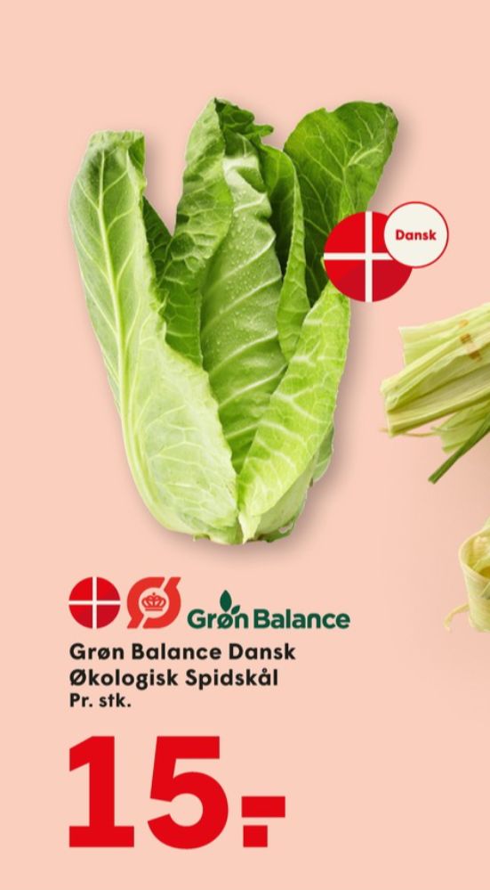 Grøn Balance, Spidskål