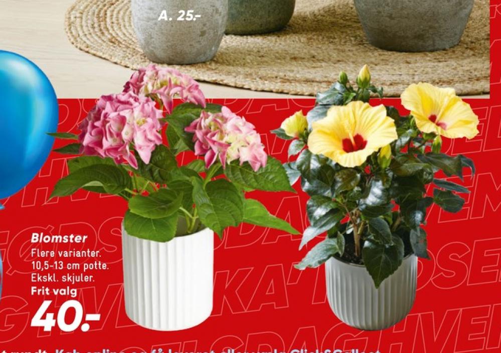 Planter