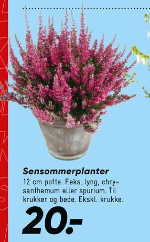 Planter
