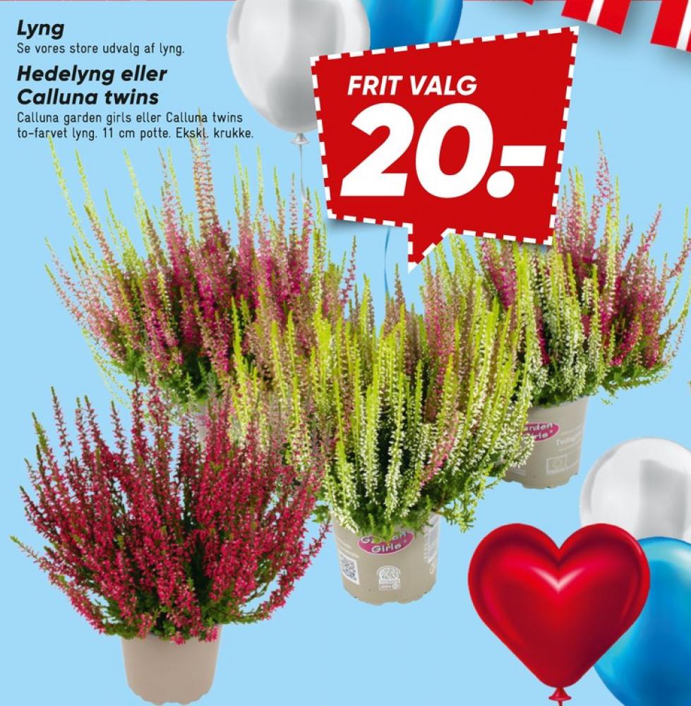 Planter